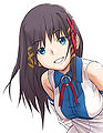 Thumbnail for version as of 16:16, 3 February 2013
