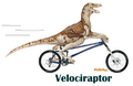 Thumbnail for version as of 21:09, 15 August 2010