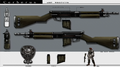 World Regenesis Organization Rifle.