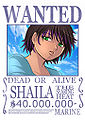 Shaila's Wanted Poster