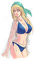 Hitomi's swimwear.