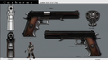 World Regenesis Organization Handgun.