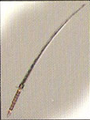 Thumbnail for version as of 06:39, 21 December 2010