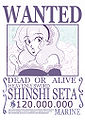 Wanted: Heavenly Sword Shinshi.