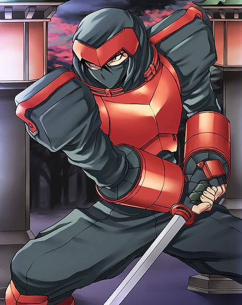 File:Dragon Ninja 1.jpg