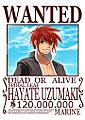 Wanted: Spiral Leaf Hayate.